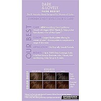 Dark & Lovely Color 391 Brown Cinnamon (6 Pack)