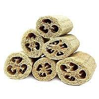 Super Savings Six (6) Pack Of 4 Loofahs!! By Spa Destinations.