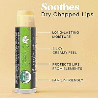 Natural Lip Balm Chapstick Pack - 12 Chap Stick Organic Lip Balm Set for Lip Healing and Repair - Natural Chapstick Hydrating Lip Balm for Dry Cracked Lips Flavored Lip Balm