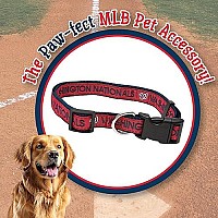 Mlb Washington Nationals Dog Collar, Small