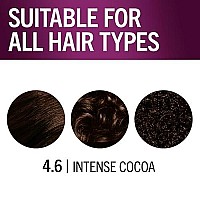 Schwarzkopf Keratin Color Permanent Hair Color Cream, 4.6 Intense Cocoa