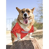 Ncaa College University Of Arizona Wildcats Mesh Jersey For Dogs Cats, Medium Licensed Big Dog Jersey With Your Favorite Footballbasketball College Team