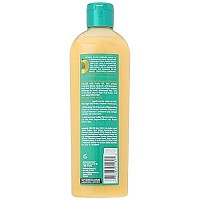 SoftSheen-Carson Optimum Salon Haircare Amla Legend Moisture Remedy Shampoo, 13.5 oz