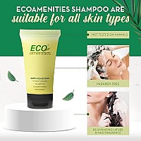 ECO Amenities Conditioning Shampoo, Travel Size Shampoo and Conditioner Sets, Mini Shampoo & Conditioner Sets - 2 in 1 Shampoo & Conditioner, Green Tea Scent, 0.75 Fl Oz (Pack of 288)