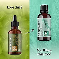 Nourishing Cold Pressed Jojoba Oil - Pure Jojoba Oil For Hair Skin And Nails Plus Emollient And Occlusive Dry Skin Moisturizer For Face And Body Care - Jojoba Carrier Oil For Essential Oils Mixing