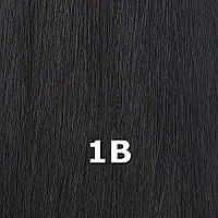 FreeTress Box Braid Large (1B)