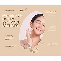 Facial Sea Wool Sponge 2-3 (3) Pack by Spa Destinations