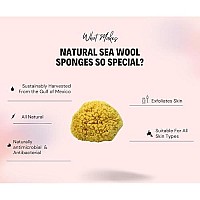 Sea Wool Sponge 4-5 (Medium) by Bath & Shower Express  Natural Renewable Resource!