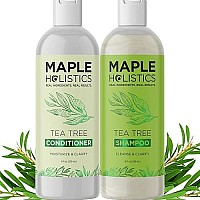 Tea Tree Shampoo and Conditioner Set - Sulfate Free Shampoo and Conditioner for Dry Damaged Hair and Scalp Care - Pure Tea Tree Oil Shampoo and Conditioner Set Dry Scalp Treatment for Women and Men