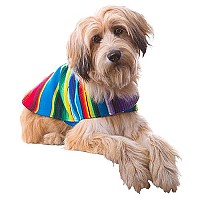 Dog Clothes - Handmade Dog Poncho From Authentic Mexican Blanket By Baja Ponchos (Blue, Large)