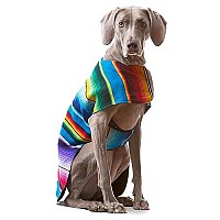 Dog Clothes - Handmade Dog Poncho From Authentic Mexican Blanket By Baja Ponchos (Blue, Large)