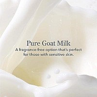 Beekman 1802 Pure Goat Milk Hand Cream, Fragrance Free - 3.4 oz - Moisturizing Lotion for Dry Skin - Anti-Aging Hydration - Good for Sensitive Skin - Cruelty Free