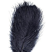 Awaytr 12-14 Inch (30-35Cm) Natural Ostrich Feathers Plumes Bulk Wedding Party Gatsby Table Centerpieces Decoration (10Pcs,Black)