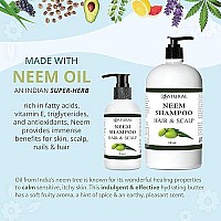 Zatural - Naked Neem - Neem Shampoo, Natural Soothing Scalp Shampoo (16oz Shampoo)