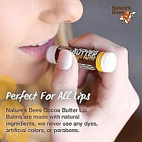 Nature's Bees, Cocoa Butter Lip Balms, Lip Moisturizer Treatment - Pack of 24 (Original Variety Assortments - Original, Olive Oil, Mango Butter, Shea Butter)