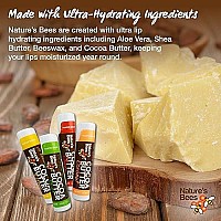 Nature's Bees, Cocoa Butter Lip Balms, Lip Moisturizer Treatment - Pack of 24 (Original Variety Assortments - Original, Olive Oil, Mango Butter, Shea Butter)