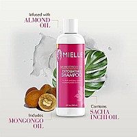 Mielle Organics Mongongo Oil Exfoliating Shampoo, 8 Ounces