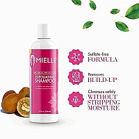 Mielle Organics Mongongo Oil Exfoliating Shampoo, 8 Ounces