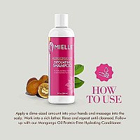 Mielle Organics Mongongo Oil Exfoliating Shampoo, 8 Ounces