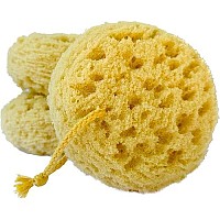 Michelle's Melting Pot Exfoliating Foam Sea Sponge Natural Feel Bath Sponge (Set of 3)