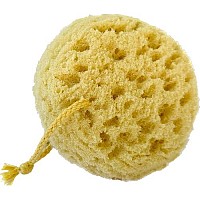 Michelle's Melting Pot Exfoliating Foam Sea Sponge Natural Feel Bath Sponge (Set of 3)