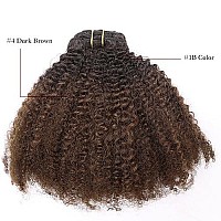 Lacer Hair Curly Clip in Real Remy Human Hair Extensions Afro Kinky Curly Clip ins 4B 4C Natural Black Hair Extensions with 17 Clips 120G Full Head,10 inch,T1B/4 AC