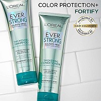 L'Oreal Paris EverStrong Thickening Sulfate Free Shampoo, Thickens + Strengthens, For Thin, Fragile Hair, with Rosemary Leaf, 2 Count (8.5 Fl; Oz each) (Packaging May Vary)