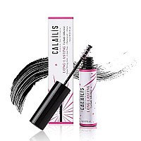 CALAILIS Lash Glue, Cluster Lash Glue for DIY Lash Extensions Super Strong Hold 48 Hours Long Lasting Lash Extension Glue for Lash Cluster Waterproof Non-Irritating Fast Drying Lash Glue