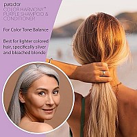 Pura D'Or Colorharmony Purple Conditioner (16Oz) For Bleached, Blonde, Silver & Color Treated Hair - Keratin, Bamboo Fiber, No Sulfates, Natural Ingredients - Men & Women, (84056)