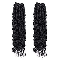 Toyotress Tiana Passion Twist Hair - 12 Inch 2 Pcs Pre-Twisted Crochet Braids Natural Black, Synthetic Braiding Hair Extension ( 12 Inch, 1B)