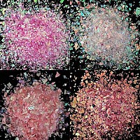 AddFavor Chunky Nail Glitter Set 8 Colors Iridescent Nail Sequin Foil Flakes Stickers Confetti for Nail Art, Resin, Body, Face Decoration Supplies