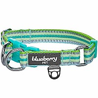 Blueberry Pet 10 Colors 3M Reflective Multi-Colored Stripe Adjustable Dog Collar, Mint Blue And Green, Medium, Neck 145-20