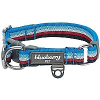 Blueberry Pet 10 Colors 3M Reflective Multi-Colored Stripe Adjustable Dog Collar, Mint Blue And Green, Medium, Neck 145-20