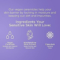 Pacifica Beauty, Vegan Ceramide Barrier Repair Face Lotion, Hydrating, Lightweight Moisturizer, For Dry Skin, Dermatologist Tested, Safe for Sensitive Skin, Fragrance Free, 100% Vegan + Cruelty Free