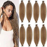 24 Inch Pre-Separated Springy Afro Twist Hair Pre-Fluffed Natural Kinky Twist Great For Protective Styling Crochet Braiding Hair (24 Inch, 27)