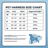 Air Frontier Mesh Dog Harness With Steel Leash D-Ring, Reflective Stitching, And Lightweight Breathable No-Pull Design, Adjustable Neck And Chest Straps For Small To Large Breeds - Amb, L