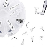 Premade Fans Short Stem 500 Pcs 6D Eyelash Extensions 007Mm Cd Curl 9-16Mm Mixed Length Wendy Lashes Russian Volume Pre-Made Lash Extension (500Pcs-6D-007-D, 9-16Mm Mixed Tray)