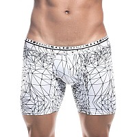 Malebasics Hipster Boxer Briefspiderxlarge