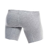 Malebasics Silver Boxer Brief