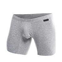 Malebasics Silver Boxer Brief