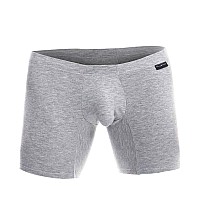 Malebasics Silver Boxer Brief