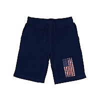 Graphic Shorts Distressed Flag Navy 2X