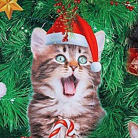 Raisevern Ugly Christmas Sweaters For Men Women Funny Santa Cats Sweatshirt Bell Holly Xmas Evergreen Trees Pullover Party Long