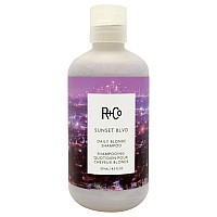 Sunset Blvd Blonde Shampoo By Rco For Unisex 85 Oz Shampoo