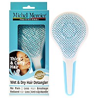 Wet And Dry Hair Detangler Thick And Curly Hair Bluewhite By Michel Mercier For Women 1 Pc Hair Brush