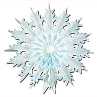 Pkgd Dipdyed Snowflakes