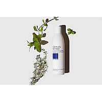 Lather Mint Thyme Shampoo Hair Wash Invigorating Sulfatefree Gentle Shampoo Natural Shampoo With Peppermint Oil Green Tea