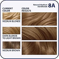 Clairol Nicen Easy Liquid Permanent Hair Dye 8A Medium Ash Blonde Hair Color Pack Of 3