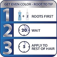 Clairol Nicen Easy Liquid Permanent Hair Dye 8A Medium Ash Blonde Hair Color Pack Of 3