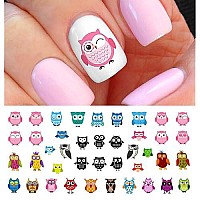 Owl Assortment Nail Art Waterslide Decals Set 1 Salon Quality